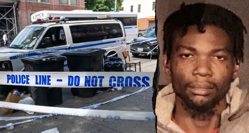 Blue city perp with 50+ arrests accused of pushing stranger onto train tracks in fifth attack that day: report