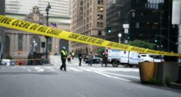Blue city repeat offender accused of metal pipe rampage just days after release