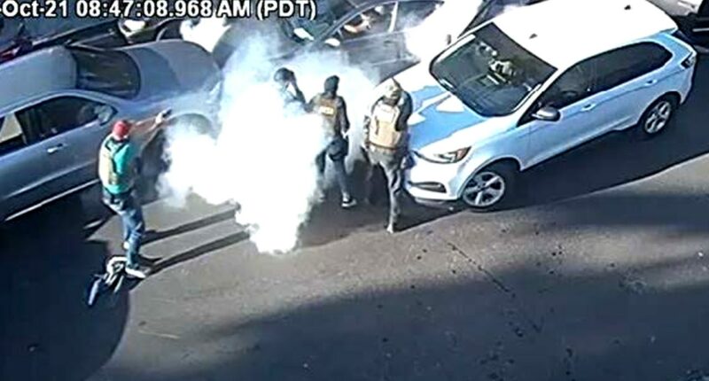 Blue state ICE agents dodge bullets, speeding cars as left ramps up tracking campaigns