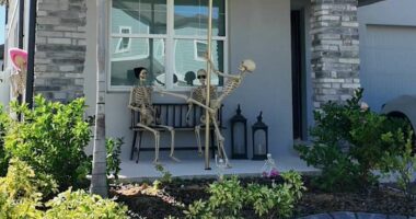 Bone to pick: Adult-themed skeleton decor rattles Minneola neighborhood