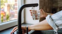 Boost hydration and digestion by adding 1 fruit to water