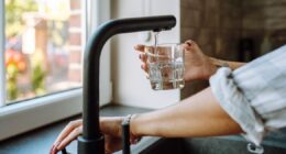 Boost hydration and digestion by adding 1 fruit to water