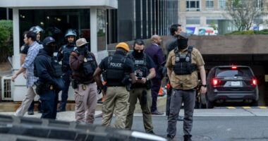 Border Patrol, ICE optics due to 'agitators' protesting: Paul Perez