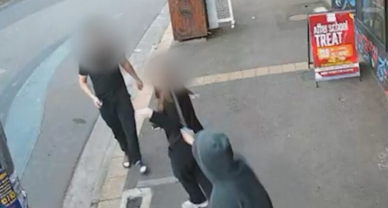 Boys, 13 and 15, arrested over 'brazen' machete attack caught on camera
