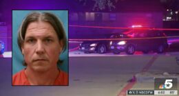 Brake-checking incident leads to fatal shooting: Police
