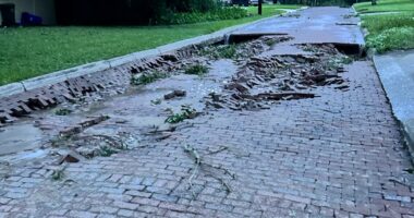 Brick road to be repaved in Lakeland due to flood damage