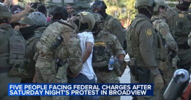 Broadview ICE facility protest: Neurodivergent man Paul Ivery released from custody pending trial after arrest at detention center