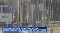 Broadview ICE facility protest expected as Donald Trump administration appeals Judge April Perry's Chicago National Guard ruling