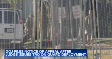 Broadview ICE facility protest expected as Donald Trump administration appeals Judge April Perry's Chicago National Guard ruling