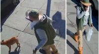 Bronx man accused of chopping off dog owner’s fingers with machete arrested in Queens hit-and-run