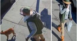 Bronx man accused of chopping off dog owner’s fingers with machete arrested in Queens hit-and-run