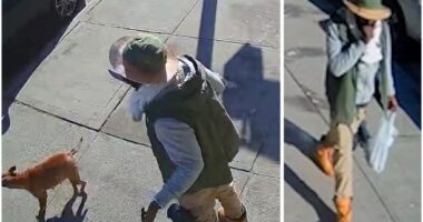 Bronx man accused of chopping off dog owner’s fingers with machete arrested in Queens hit-and-run