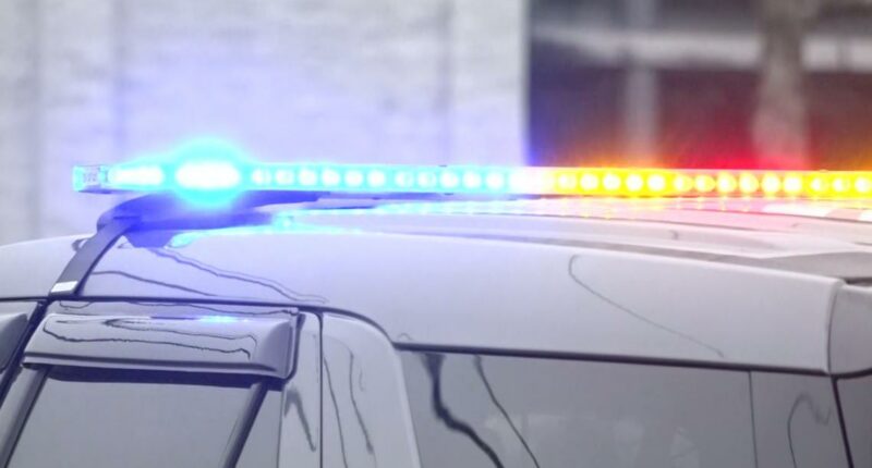 Brunswick man charged with electronic child explotation