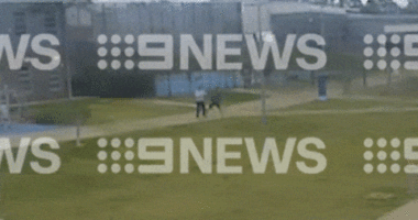 CCTV footage of an inmate at Cessnock prison attacking multiple police officers.