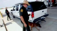 CBP agents seize $1.3M worth of meth and heroin in border drug bust amid Trump’s war on narcoterrorism