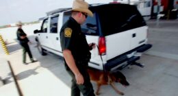 CBP agents seize $1.3M worth of meth and heroin in border drug bust amid Trump’s war on narcoterrorism