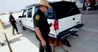 CBP agents seize $1.3M worth of meth and heroin in border drug bust amid Trump’s war on narcoterrorism