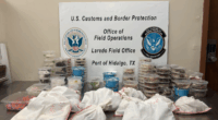 CBP seizes 163 exotic pets at border in smuggling attempt