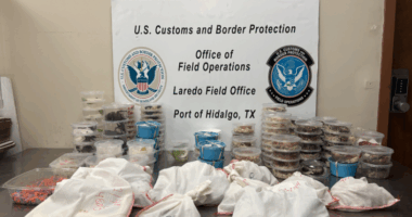 CBP seizes 163 exotic pets at border in smuggling attempt