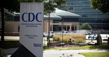 CDC rushes to hire back top scientists sent layoff notices in 'error'