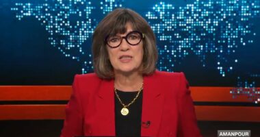 CNN's Christiane Amanpour issues apology after making Hamas gaffe