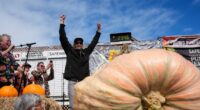 California engineer wins pumpkin contest with massive 2,346-pound gourd
