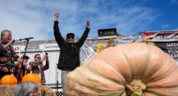 California engineer wins pumpkin contest with massive 2,346-pound gourd