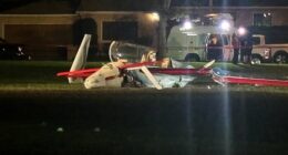 California woman hit by small plane during crash landing on soccer field