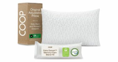 Coop Home Goods Original Adjustable Pillow