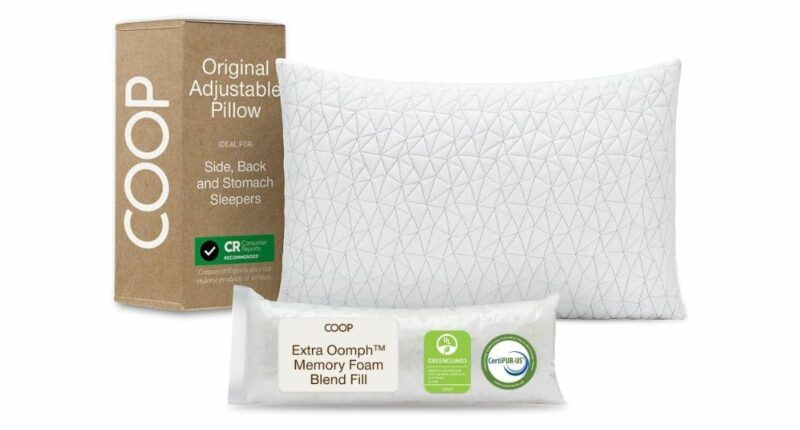Coop Home Goods Original Adjustable Pillow