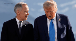 Canadian PM Carney visits Trump as relations between the longtime allies sit at a low point