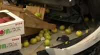 Car falls from rooftop parking lot into supermarket