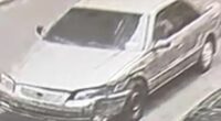 Car linked to disappearance of beauty queen as cops arrest suspect