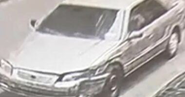 Car linked to disappearance of beauty queen as cops arrest suspect