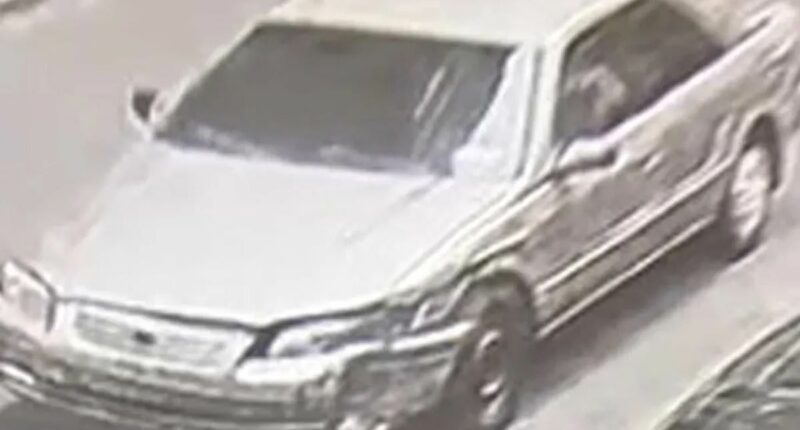 Car linked to disappearance of beauty queen as cops arrest suspect