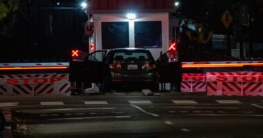 Car rams into White House barricade, suspect arrested: officials