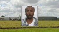 Caregiver burned patient with lighter, blamed wasps: Cops