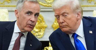 Carney accuses Trump of being too 'emotional' after president canceled trade negotiations over Reagan ad