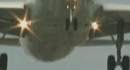 Cases of toxic fumes in plane cabins growing