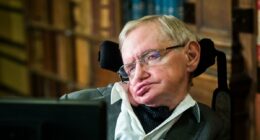 Cause of ALS discovered, as scientists reveal breakthrough could lead to new treatments