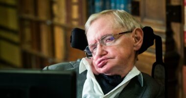 Cause of ALS discovered, as scientists reveal breakthrough could lead to new treatments