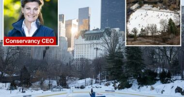 Central Park Conservancy bigwig blasted by Wollman Rink operator she bragged about dissing in op-ed