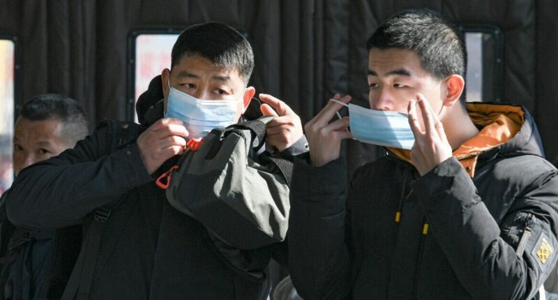 Chaos in China as swine flu variant sparks epidemic fears after 'alarming' rise