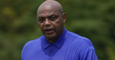 Charles Barkley on NBA arrests: 'These dudes are stupid'