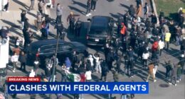 Chicago Little Village activity today: 1 arrested for battery of police officer near 26th, Whipple amid clash with feds
