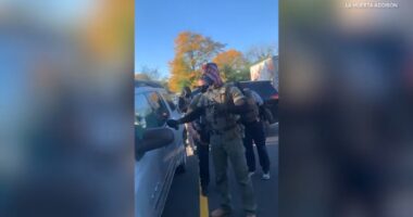 Chicago-area immigration activity: Video shows federal agents break car window, detain occupants in Addison; protest held