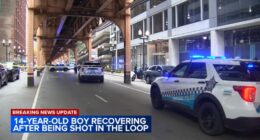 Chicago downtown shooting: 14-year-old boy shot, injured near Adams, Wells in the Loop downtown, police say