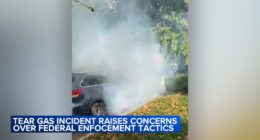 Chicago immigration activity: Video shows agents break car window detain driver in Addison; DHS defends 'crowd control measures'