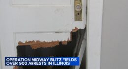 Chicago immigration news: Aldermen to speak out on 'militarized' enforcement in Humboldt Park area