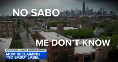 Chicago radio personality Paulina Roe reclaiming shameful 'no sabo' label by teaching young daughter Spanish